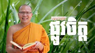 បន្ថយសម្ពាធផ្លូវចិត្ត   /ធម៌អប់រំចិត្ត/Kou Sopheap/គូ សុភាព