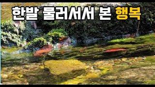 한발 물러서서 본 행복 feat 철학하는 인간의 힘, 천년의 상상 etc