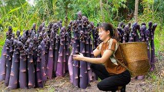 Daily Life | WOMAN Harvesting Giant Black Asparagus Goes to Market Sell - Harvest and Sell