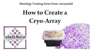 How to Create a Frozen Tissue Microarray - The Cryo-Array