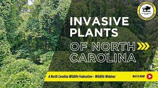 Invasive Plants of North Carolina - North Carolina Wildlife Federation