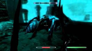 Giant Frostbite Spider Glitched Animation [TES V: Skyrim]