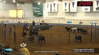 2020 AQHA Amateur Ranch Sorting