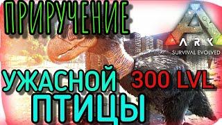 Приручение Ужасной птицы 300LVL в Ark Survival Evolved Mobile, лучшая живка для перемещения по карте