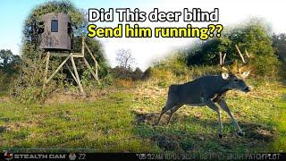 Do deer blinds spook deer? AND Stealth Cam Revolver 360 cellular trail cam review follow up