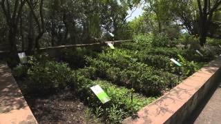 Giardino della Minerva in Salerno