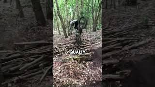 MTB cases, you need a lawyer for