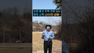 소액땅 경북땅, 가성비 좋은 시골땅 추천매물~#소액물건 #체류형쉼터 #farming