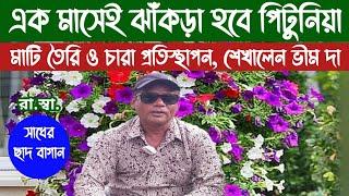 পিটুনিয়া ফুল গাছের মাটি তৈরি, প্রতিস্থাপন কিভাবে করলে গাছ ১ মাসেই ঝাঁকড়া হয়ে উঠবে শেখালেন Bhim দা