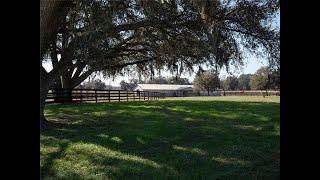 50 Acre Ocala Horse Farm for Sale 5 Miles From World Equestrian Center Ocala