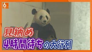 [Crowded even on weekdays] Four pandas returned to China will be "behind glass" from today as the...