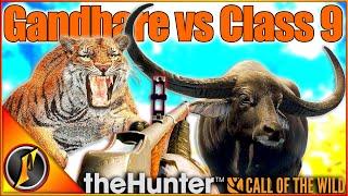 Gandhare vs TIGERS! | Hunting Sundarpatan in Call of the Wild!