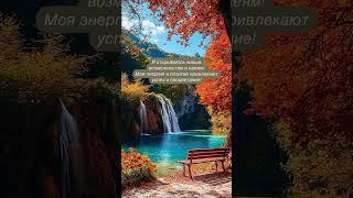Моя энергия и позитив привлекают успех и процветание #аффирмации #счастье #душа #love #любовь