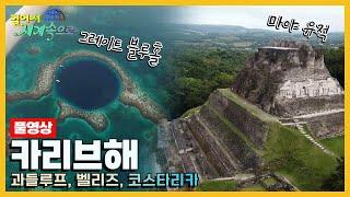 [걸어서세계속으로Full] 카리브해의 아름다운 자연 속으로 Trip to Caribbean Sea (KBS 20200425)