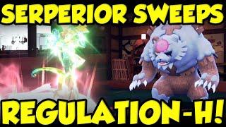 SERPERIOR SWEEPS REGULATION-H RANKED POKEMON BATTLES!