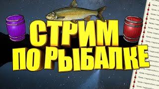 стрим рр3.99 ловим фина+рапана венозная!