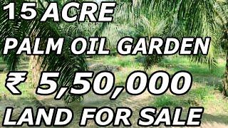 15 ACRE PALM OIL GARDEN FOR SALE | LOW - BUDGET PROPERTY SALE | ACRE COST ₹ 5,50,000 | PROPERTY TV