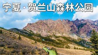 宁夏之旅～大名鼎鼎的贺兰山。看看贺兰山国家森林公园美不美【行走世界的北京老刘】