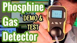 Best Phosphine Gas Detector (PH3 Gas)