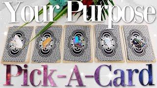 Your PURPOSE & Destiny (PICK A CARD)