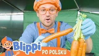 Warzywa i owoce na roli | Blippi po polsku | Nauka i zabawa dla dzieci