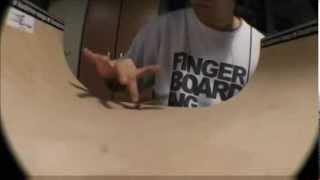 Sugar town a fingerboard video