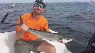 Gulf Coast King Mackerel Catch!