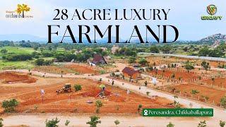 Managed Farmland Near Chikkaballapur | Explore Luxury Amenities In Elegant Orchards   Farmland