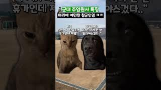 군대 주임원사 특징 #shorts #군대