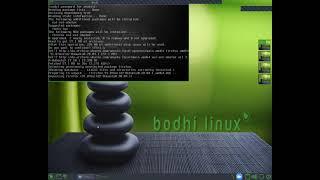 How Linux users install a browser (Bodhi Linux)