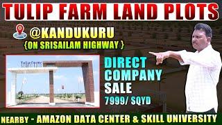 Excellent Farm Lands Near Future City Kandukuru | Tulip Farms on Srisailam Highway |@ManamTvOfficial