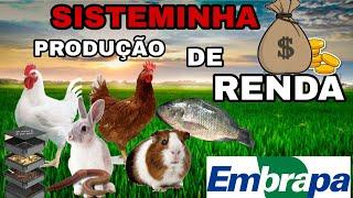 TORNE SEU SÍTIO LUCRATIVO- sisteminha EMPRAPA!