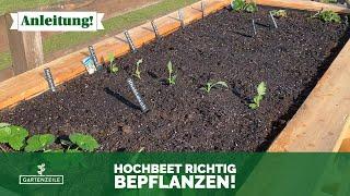 Hochbeet richtig bepflanzen im Frühling ‍ Tipps & Tricks | Welche Pflanzen begünstigen sich?