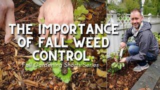  Importance of Weed Control in Fall Gardening #shorts 