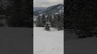 Pamflet#pamflet #fyp #imohub #snowboarding #winter #realtor #imobiliare