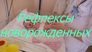 Рефлексы новорожденных /  Мамули и детки