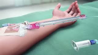 PIVO™ Pro Needle-free Blood Collection Device: Closed IV Catheter System