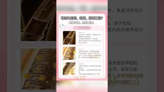 你头发开叉原因你自己知道吗？一、毛鱗片的狀態健康狀態:邊緣光滑、排列整齊，像屋頂的瓦片或魚鱗一樣緊密貼合。 #分享 #深圳好去處 #推薦 #深圳攻略 #頭皮健康 #熱門 #深圳市 #頭髮護理 #头发