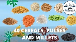 40 cereals pulses and millets with animation