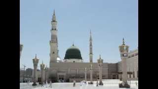 Hijama What Is Hijama ?
