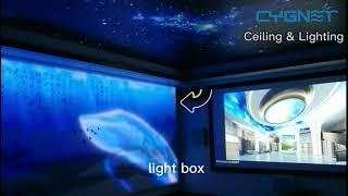 LED dynamic lightbox application in home theatre, animatic led program customized