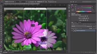 Как обрезать изображение в Photoshop