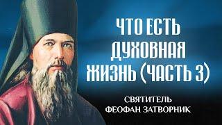 Что есть духовная жизнь и как на нее настроиться (Ч3) — свт. Феофан Затворник