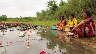 Fishing video| Hook Fishing Lotus pond | The lady caught fish in the Lotus pond of the village today