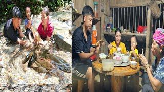 Harvesting stream fish, processing and cooking | Hà Tòn Chài