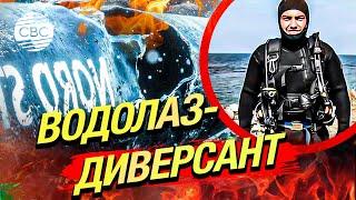 «Северные потоки» мог взорвать украинский водолаз. Германия выдала ордер на его арест