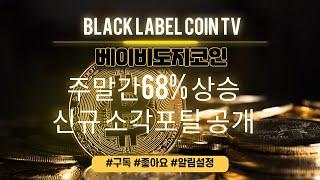 베이비도지코인) 주말간 68% 상승 신규 소각포탈 공개 ! 아직 늦지않았습니다 ! +베이비도지코인전망