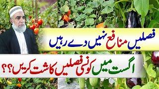 Which crops should be cultivated during August || Crop Reformer