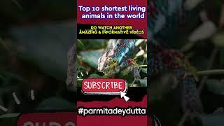 Top 10 shortest living animals in the world| Top ten shortest living animals in the world| #shorts