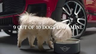 MINI x DOGS | MINI Events and Partnerships | MINI UK